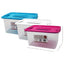 STERILITE Box Storage Container with 2 Sided Clip Locks Asst C 8.4L Plasticware Colot Blue/White/Magenta Packaging 18/Box